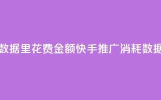 快手推广消耗数据里花费金额(快手推广消耗数据：花费金额分析)