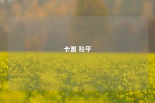 卡盟 和平