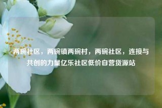 两碗社区，两碗镇两碗村，两碗社区，连接与共创的力量亿乐社区低价自营货源站