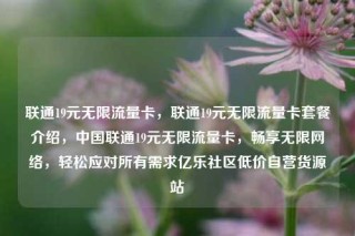 联通19元无限流量卡，联通19元无限流量卡套餐介绍，中国联通19元无限流量卡，畅享无限网络，轻松应对所有需求亿乐社区低价自营货源站
