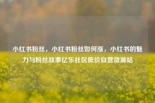 小红书粉丝，小红书粉丝如何涨，小红书的魅力与粉丝故事亿乐社区低价自营货源站