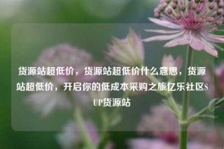 货源站超低价，货源站超低价什么意思，货源站超低价，开启你的低成本采购之旅亿乐社区SUP货源站