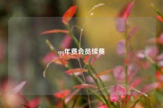 qq年费会员续费