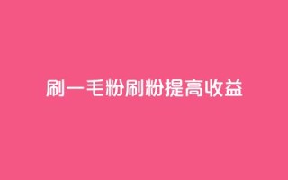 ks刷一毛1000粉(KS刷粉1000，提高收益)