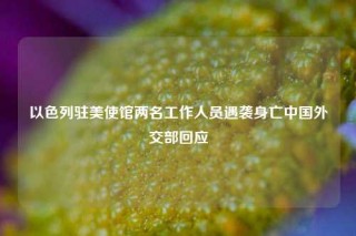以色列驻美使馆两名工作人员遇袭身亡中国外交部回应