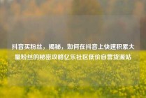 抖音买粉丝，揭秘，如何在抖音上快速积累大量粉丝的秘密攻略亿乐社区低价自营货源站
