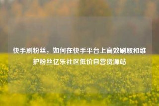 快手刷粉丝，如何在快手平台上高效刷取和维护粉丝亿乐社区低价自营货源站