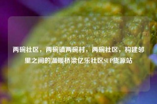 两碗社区，两碗镇两碗村，两碗社区，构建邻里之间的温暖桥梁亿乐社区SUP货源站
