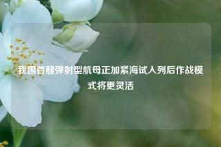 我国首艘弹射型航母正加紧海试入列后作战模式将更灵活