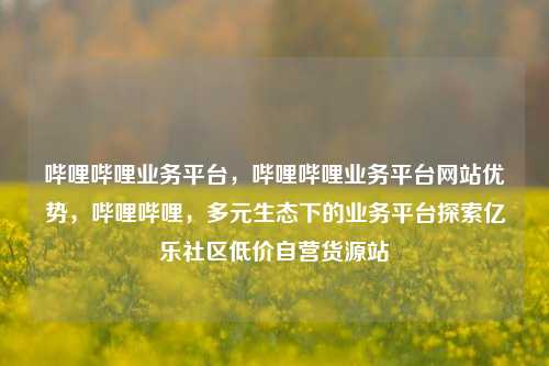 哔哩哔哩业务平台，哔哩哔哩业务平台网站优势	，哔哩哔哩，多元生态下的业务平台探索亿乐社区低价自营货源站  第1张