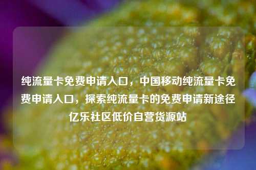 纯流量卡免费申请入口，中国移动纯流量卡免费申请入口	，探索纯流量卡的免费申请新途径亿乐社区低价自营货源站  第1张