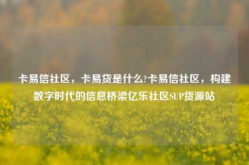 卡易信社区	，卡易贷是什么?卡易信社区，构建数字时代的信息桥梁亿乐社区SUP货源站  第1张