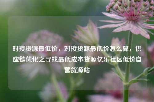 对接货源最低价	，对接货源最低价怎么算，供应链优化之寻找最低成本货源亿乐社区低价自营货源站  第1张
