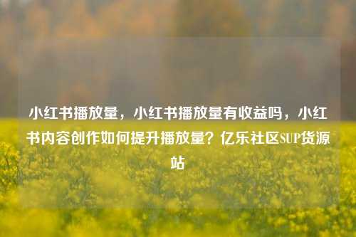 小红书播放量，小红书播放量有收益吗	，小红书内容创作如何提升播放量？亿乐社区SUP货源站  第1张