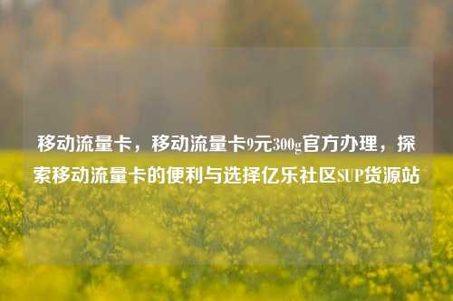 移动流量卡，移动流量卡9元300g官方办理，探索移动流量卡的便利与选择亿乐社区SUP货源站  第1张