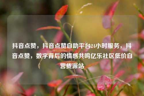 抖音点赞，抖音点赞自助平台24小时服务，抖音点赞	，数字背后的情感共鸣亿乐社区低价自营货源站  第1张