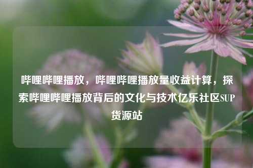 哔哩哔哩播放，哔哩哔哩播放量收益计算，探索哔哩哔哩播放背后的文化与技术亿乐社区SUP货源站  第1张