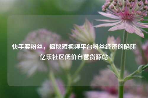 快手买粉丝，揭秘短视频平台粉丝经济的陷阱亿乐社区低价自营货源站  第1张