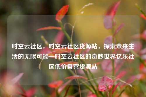 时空云社区	，时空云社区货源站，探索未来生活的无限可能—时空云社区的奇妙世界亿乐社区低价自营货源站  第1张