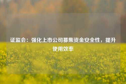 证监会：强化上市公司募集资金安全性	，提升使用效率  第1张