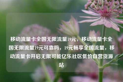 移动流量卡全国无限流量19元，移动流量卡全国无限流量19元可靠吗，19元畅享全国流量，移动流量卡开启无限可能亿乐社区低价自营货源站  第1张