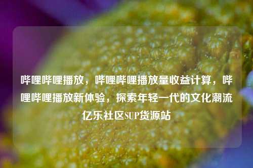 哔哩哔哩播放，哔哩哔哩播放量收益计算，哔哩哔哩播放新体验	，探索年轻一代的文化潮流亿乐社区SUP货源站  第1张