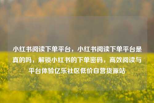 小红书阅读下单平台，小红书阅读下单平台是真的吗，解锁小红书的下单密码，高效阅读与平台体验亿乐社区低价自营货源站  第1张