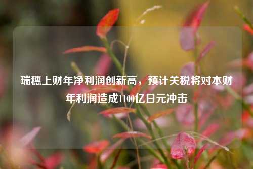 瑞穗上财年净利润创新高，预计关税将对本财年利润造成1100亿日元冲击  第1张