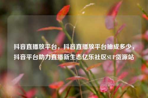 抖音直播放平台	，抖音直播放平台抽成多少，抖音平台助力直播新生态亿乐社区SUP货源站  第1张