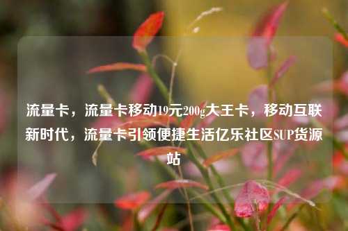 流量卡，流量卡移动19元200g大王卡	，移动互联新时代，流量卡引领便捷生活亿乐社区SUP货源站  第1张