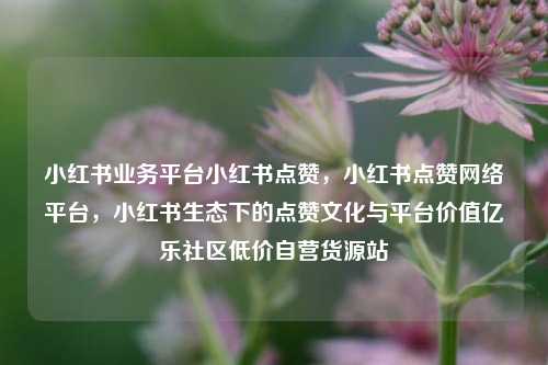小红书业务平台小红书点赞	，小红书点赞网络平台，小红书生态下的点赞文化与平台价值亿乐社区低价自营货源站  第1张