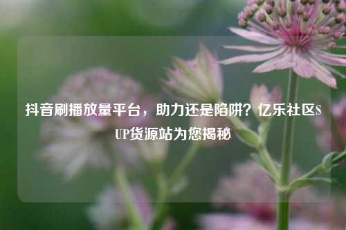 抖音刷播放量平台	，助力还是陷阱？亿乐社区SUP货源站为您揭秘  第1张