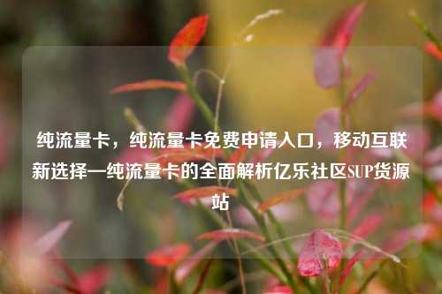 纯流量卡	，纯流量卡免费申请入口，移动互联新选择—纯流量卡的全面解析亿乐社区SUP货源站  第1张