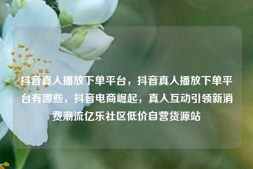 抖音真人播放下单平台，抖音真人播放下单平台有哪些，抖音电商崛起	，真人互动引领新消费潮流亿乐社区低价自营货源站  第1张
