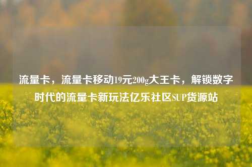 流量卡，流量卡移动19元200g大王卡	，解锁数字时代的流量卡新玩法亿乐社区SUP货源站  第1张