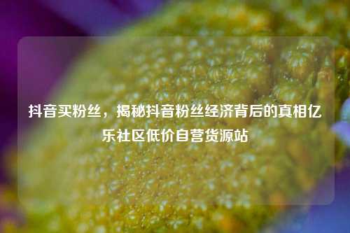 抖音买粉丝	，揭秘抖音粉丝经济背后的真相亿乐社区低价自营货源站  第1张