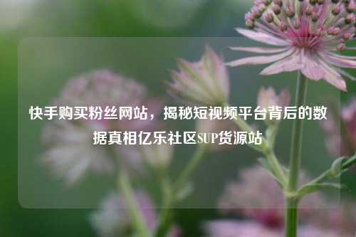 快手购买粉丝网站，揭秘短视频平台背后的数据真相亿乐社区SUP货源站  第1张