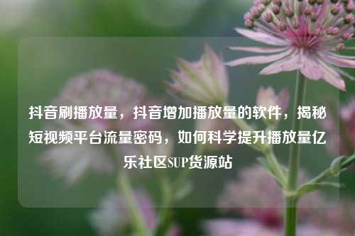 抖音刷播放量，抖音增加播放量的软件，揭秘短视频平台流量密码	，如何科学提升播放量亿乐社区SUP货源站  第1张