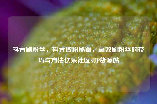 抖音刷粉丝	，抖音增粉秘籍，高效刷粉丝的技巧与方法亿乐社区SUP货源站  第1张