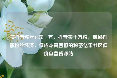 买抖音粉丝10元一万，抖音买十万粉，揭秘抖音粉丝经济	，低成本高回报的秘密亿乐社区低价自营货源站  第1张