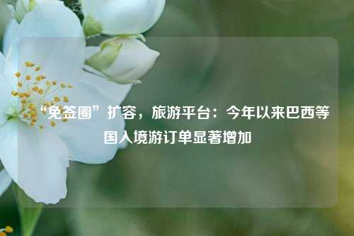 “免签圈	”扩容，旅游平台：今年以来巴西等国入境游订单显著增加  第1张