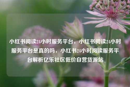 小红书阅读24小时服务平台	，小红书阅读24小时服务平台是真的吗，小红书24小时阅读服务平台解析亿乐社区低价自营货源站  第1张