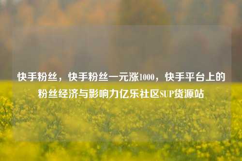 快手粉丝，快手粉丝一元涨1000	，快手平台上的粉丝经济与影响力亿乐社区SUP货源站  第1张
