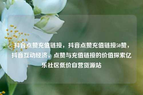 抖音点赞充值链接，抖音点赞充值链接50赞，抖音互动经济	，点赞与充值链接的价值探索亿乐社区低价自营货源站  第1张