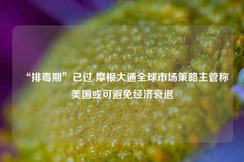 “排毒期”已过 摩根大通全球市场策略主管称美国或可避免经济衰退  第1张