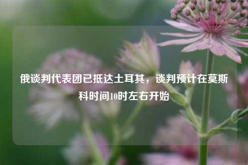 俄谈判代表团已抵达土耳其，谈判预计在莫斯科时间10时左右开始  第1张