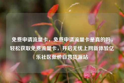 免费申请流量卡，免费申请流量卡是真的吗	，轻松获取免费流量卡，开启无忧上网新体验亿乐社区低价自营货源站  第1张