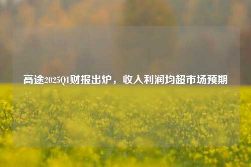 高途2025Q1财报出炉，收入利润均超市场预期  第1张