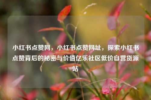 小红书点赞网，小红书点赞网址，探索小红书点赞背后的秘密与价值亿乐社区低价自营货源站  第1张