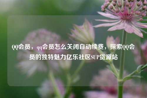 QQ会员，qq会员怎么关闭自动续费，探索QQ会员的独特魅力亿乐社区SUP货源站  第1张